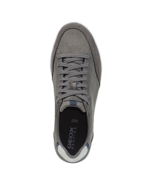 Sneakers Walee gris