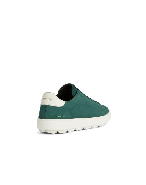 Donkergroen/witte Spherica Ecub-1 suède sneakers
