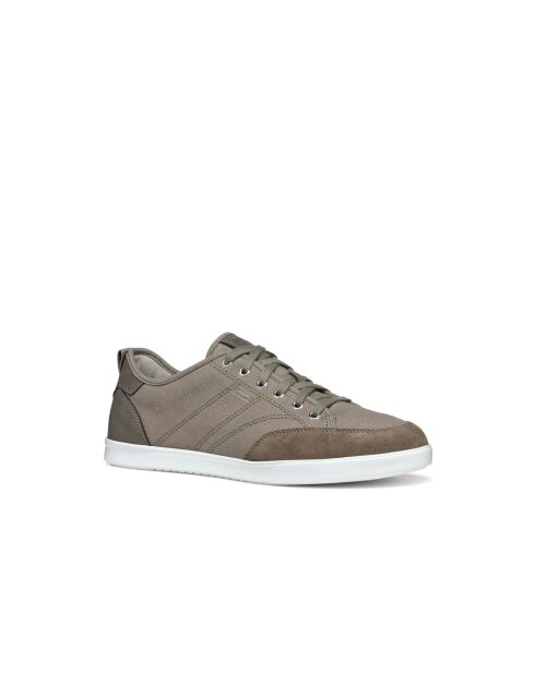 Sneakers Walee gris colombe