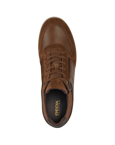 Sneakers Renan bruncotto/marrone scuro in pelle scamosciata