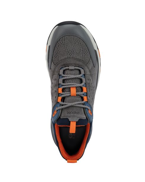 Grijze sneakers van Sterrato suède