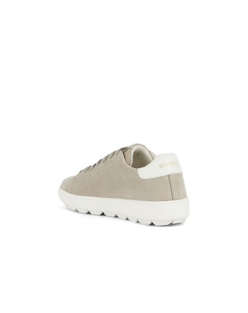 Spherica Ecub-1 sneakers van steen/wit suède