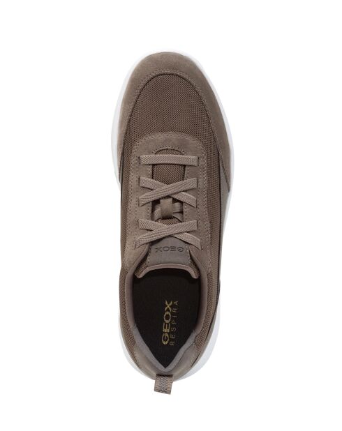 Sneakers Spherica tortora