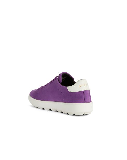Spherica Ecub-1 paars/witte suède sneakers