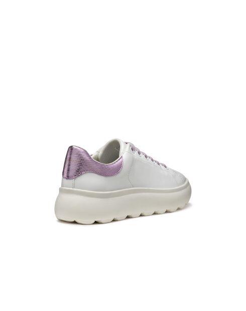 Spherica Ec4.1 wit/lila leren sneakers