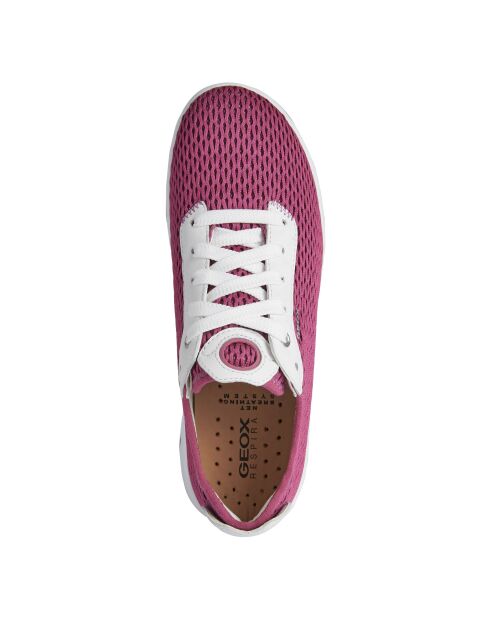 Fuchsia/witte sneakers van Aerantis