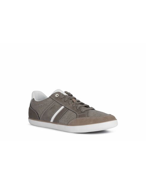 Sneakers Elver gris colombe