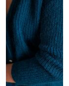 Cardigan Paddy petrol