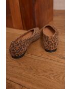 Ballerina moka, ballerina color cioccolato