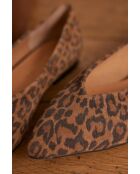 Ballerina moka, ballerina color cioccolato