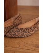 Ballerina moka, ballerina color cioccolato