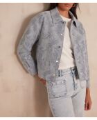Blouson Colombe B Jacq indigo clair
