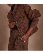 Blouson Clem Bl Pdb chocolat