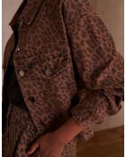 Blouson Clem Bl Pdb chocolat