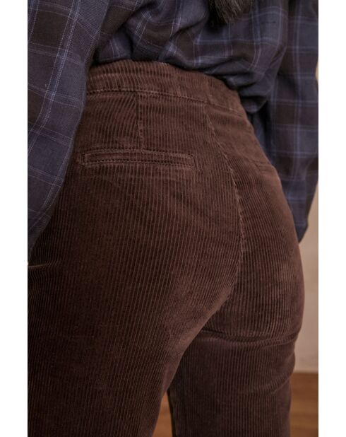 Oxan P broek van chocoladefluweel