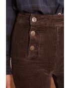 Oxan P broek van chocoladefluweel