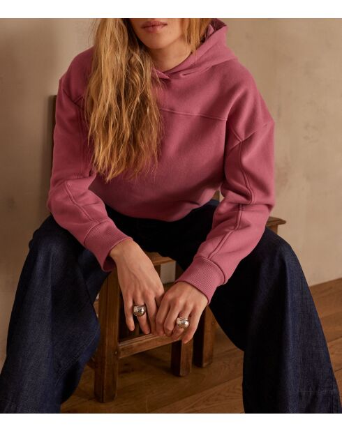 Sudadera Alan Gooseberry