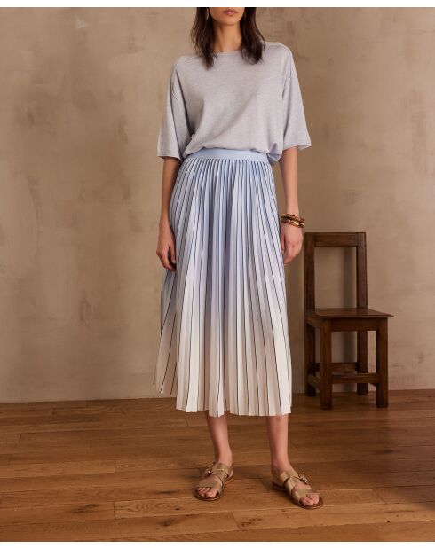 Darcy J himmelblauer Faltenrock