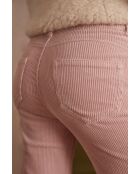Pantalon Gaby P Velours mauve pale