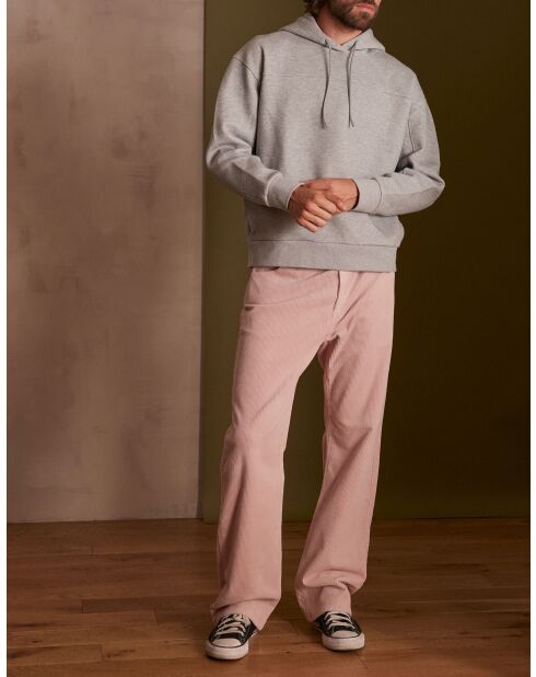 Pantalon Gaby P Velours mauve pale