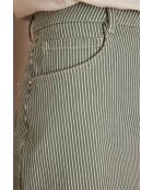 Bonny J Engelse groene gestreepte rok