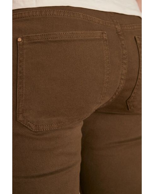 Gedroogde broek met bladeren van Patience