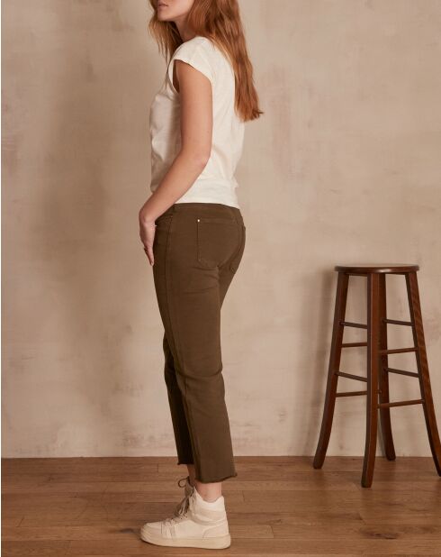 Gedroogde broek met bladeren van Patience