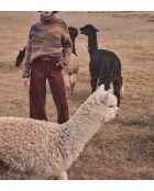 Selyna P fluwelen kaneelbroek