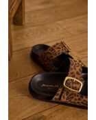 Mateo Bis chocolade-muiltjes