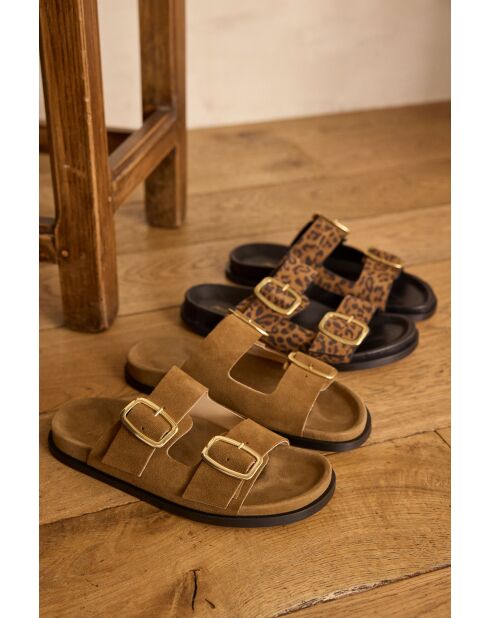 Mateo Bis chocolade-muiltjes