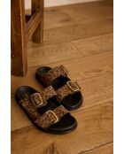 Mateo Bis chocolade-muiltjes