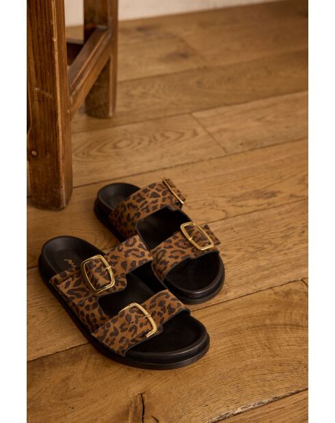 Mateo Bis chocolade-muiltjes