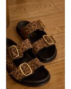 Mateo Bis chocolade-muiltjes