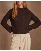 Donkerbruine trui Sylvio