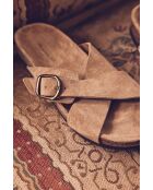 Natuurlijke James-muiltjes