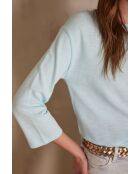 Lichtblauw gemêleerd t-shirt Alex