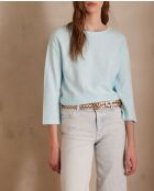 Lichtblauw gemêleerd t-shirt Alex