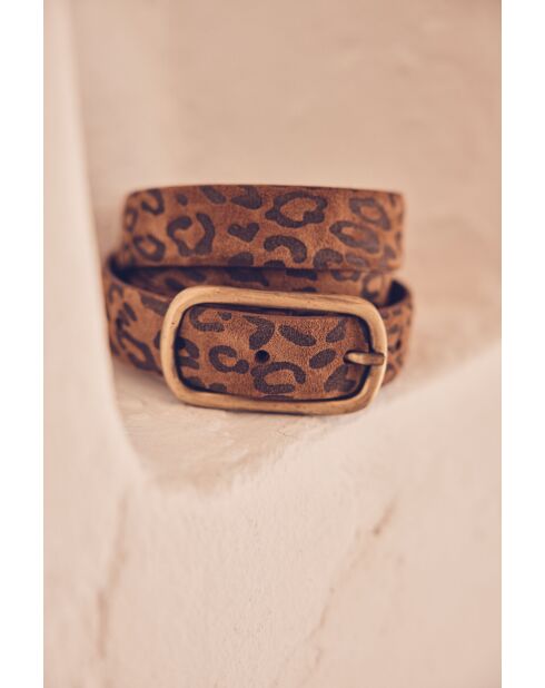 Ceinture moyenne Vic chocolat