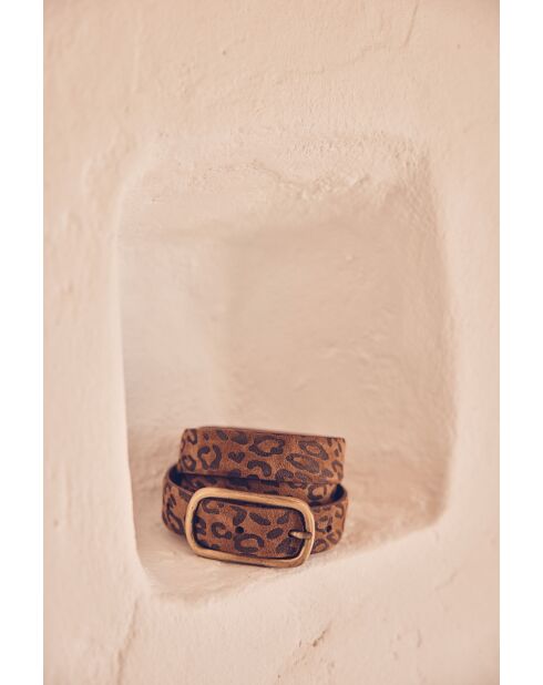 Ceinture moyenne Vic chocolat