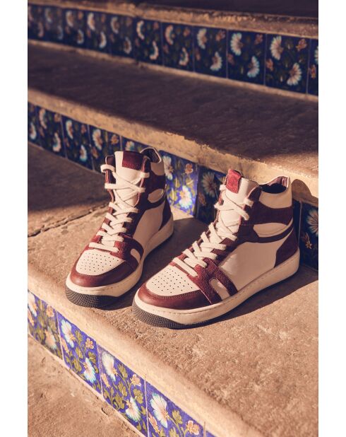 Sneakers Lucas basket bordeaux