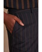 Marineblauwe broek met strepen Ferguson P