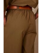 Plantas de olivo Berthie P Uni