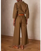 Plantas de olivo Berthie P Uni