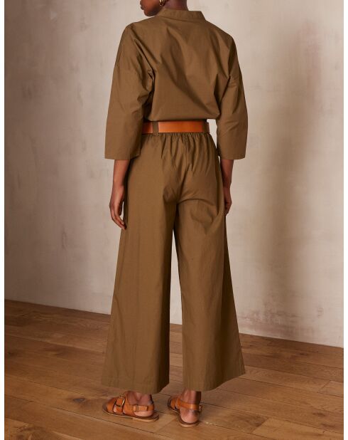 Plantas de olivo Berthie P Uni