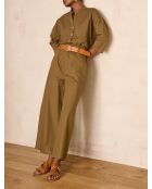 Plantas de olivo Berthie P Uni