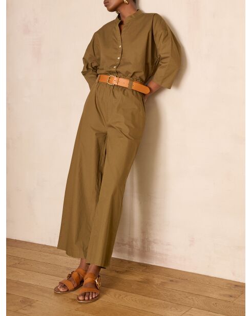 Plantas de olivo Berthie P Uni