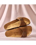 Agata braune Maultiere