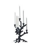 Bougeoir pommier graphite - 32x32x53 cm