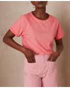 T-shirt Alfred coral