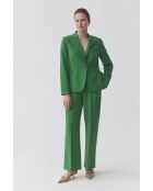 Chaqueta Rema 1 verde